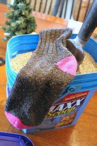 Each one has its own interesting personality and unique characteristics that make them stand out. 10 Clever Alternative Uses for Cat Litter! | The Creek ...