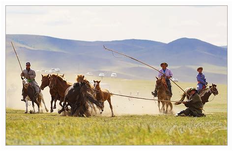 Wallpaper Landscape Grass Field Mongolian Steppe Grassland