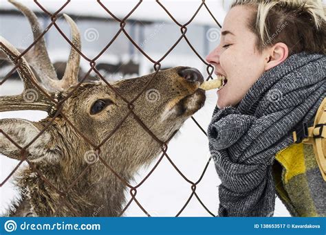 Closeup Woman Feeding Deer On A Farm Stock Image Image Of Landscape