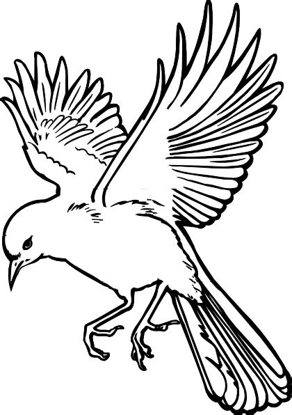 Free Bird Outline Cliparts Download Free Bird Outline Cliparts Png