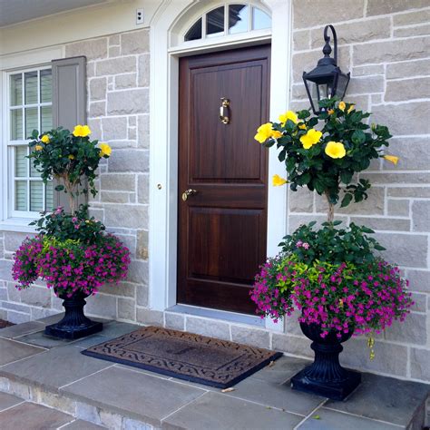 Hibiscus Planters Front Yard Landscaping Porch Planters Front