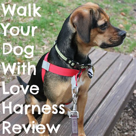 Product Review Walk Your Dog With Love Harness Plus Sale Beagles And