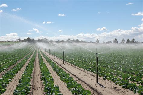 Water Salinity And Plant Irrigation Agriculture And Food