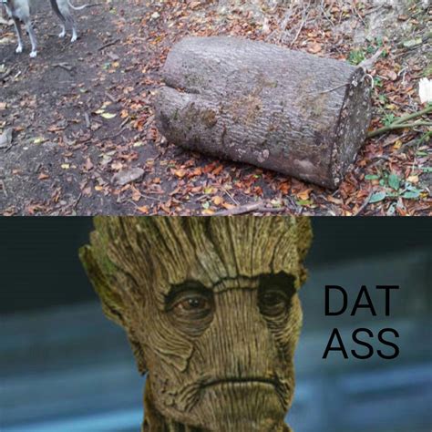 I Am Groot Meme Subido Por Tfid 97 Memedroid