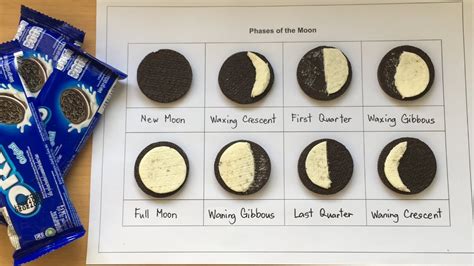 Phases Of The Moon Oreo Worksheet