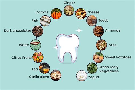 15 Food Items For Healthy Gums Eurodent Belgium