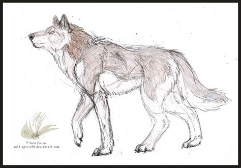 Pin By Katie Watson On Wolf Within Sketches Wolf Walking Wolf Spirit