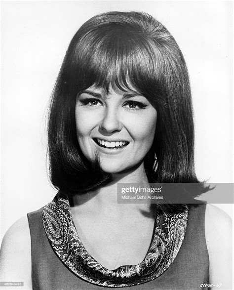 Entertainer Shelley Fabares Poses For A Portrait To Promote The