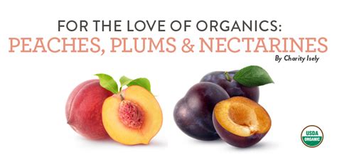 For The Love Of Organics Peaches Plums And Nectarines Natural Grocers