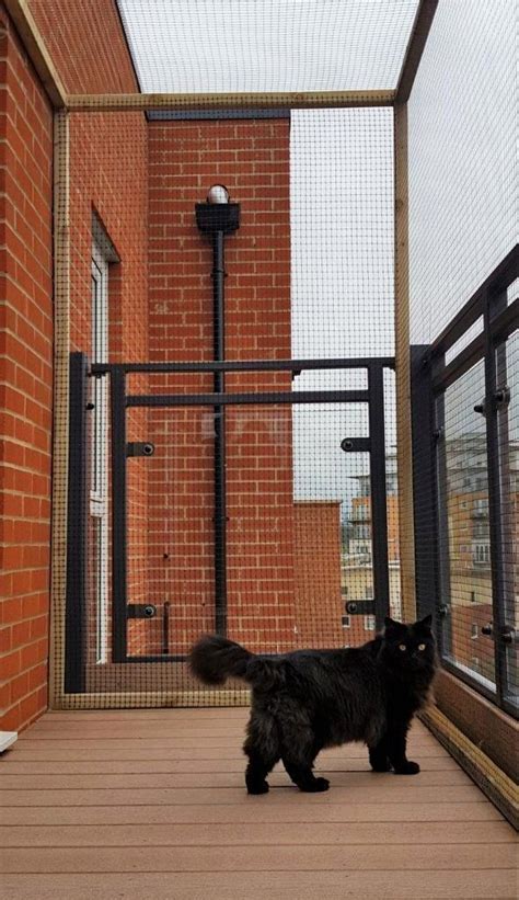How To The Cat Proof Balcony