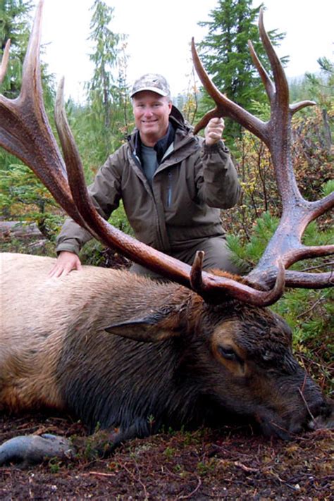 Vancouver Island Roosevelt Elk Hunts North Vancouver Island Hunting