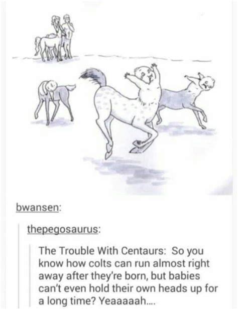Centaur Babies