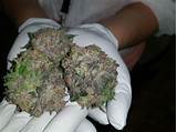 Photos of How To Flush Marijuana From Your System