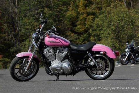 2012 Pink Hd 883 Sportster Superlow Harley Davidson Forums