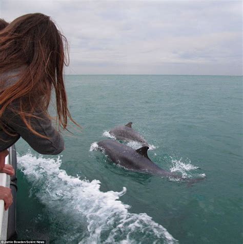 Dolphins Perform Spectacular Show For Boat Full Of Tourists Off The