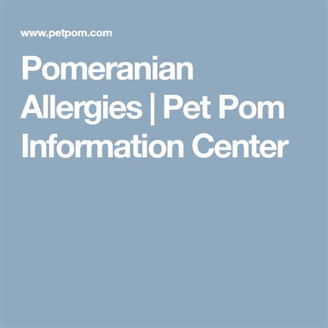 Pomeranian Allergies Pet Pom Information Center Pomeranian