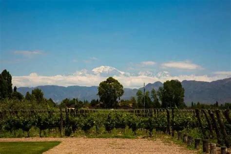 Wine Tasting And Biking In Mendoza Argentina Is It A Good Idea