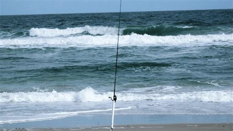 Best Surf Fishing Rods In Reviewed Buying Guide