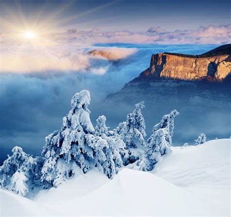 Snow Landscape Winter Wallpapers Hd Desktop And Mobile