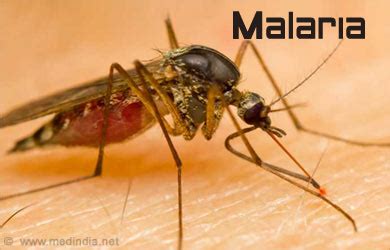 This can lead to more serious symptoms, varying from. Malaria - Causes, Symptoms, Diagnosis, Prevention, Treatment