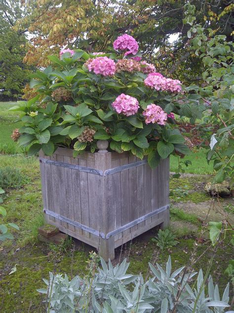 A modern tapered planter with simple, elegant lines that give any outdoor living space that designer look. Pin on Authentic Versailles Citrus Planters