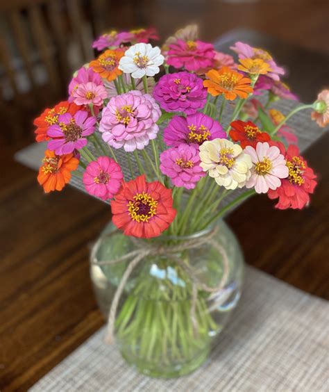 How To Arrange Zinnias Or Any Fresh Cut Flowers In A Vase And Other Ideas