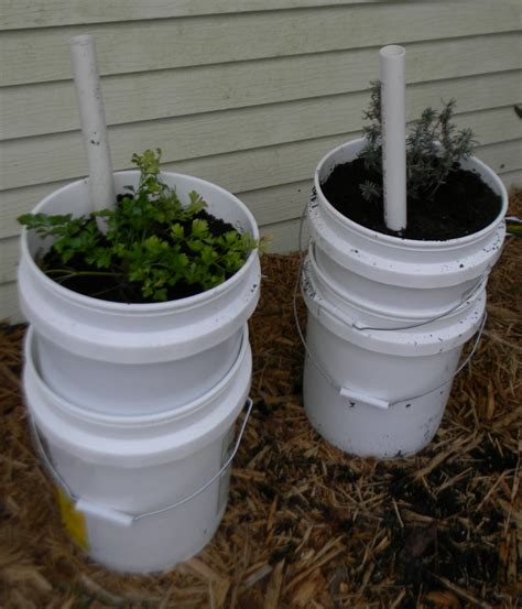 Easy Steps To Make A Self Watering Tomato Planter Your Projectsobn