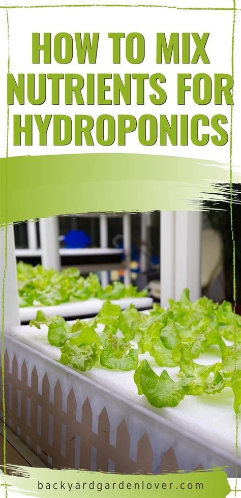 How To Mix Nutrients For Hydroponics Hydroponic Nutrient Solution