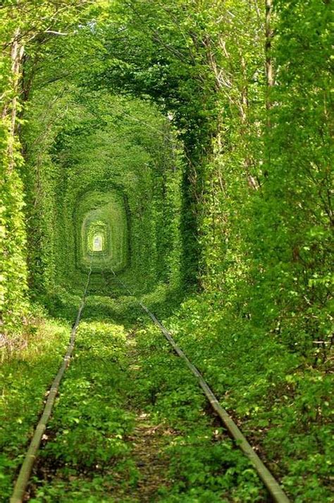 Located In Kleven Ukraine The Tunnel Of Love Is Known As One Of The Most Romantic Train
