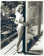 Yvette Vickers | Fashion portrait, Vintage romance, Portrait