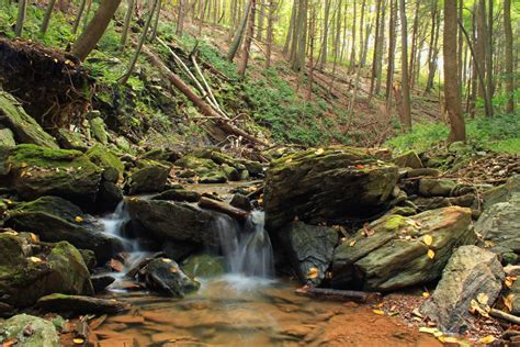 Free Images Landscape Tree Nature Forest Rock Waterfall Creek