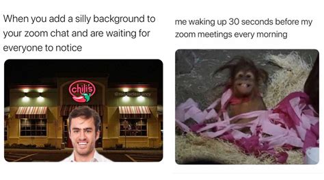 Zoom, is definitely starting to annoy us all. Zoom Meetings Funny Memes: These Hilarious Jokes Perfectly ...