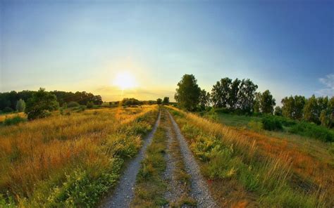 Wallpaper 1920x1200 Px Clearing Fields Grass Landscapes Road