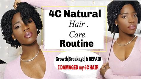 C Natural Hair Care Routine Years C Hair Damage Growth Repair Years C Natural H