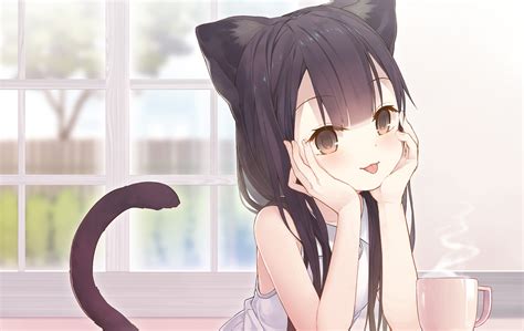 Download 1500x949 Anime Cat Girl Animal Ears Tail Loli