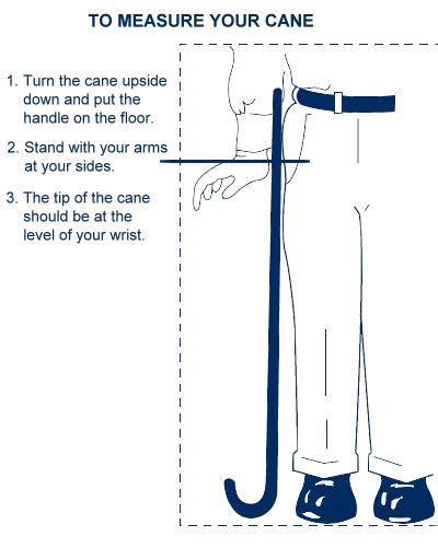 Canes Basic Guide How To Measure And What To Buy