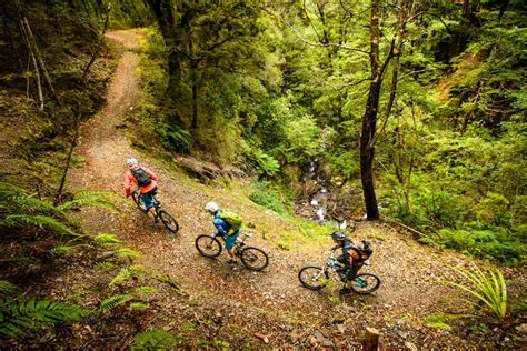 Mountain Biking The Best Trails On New Zealands South Island