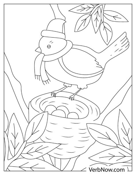 Free Robin Coloring Pages And Book For Download Printable Pdf Verbnow