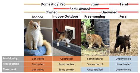 Information Wa Feral Cat Working Group