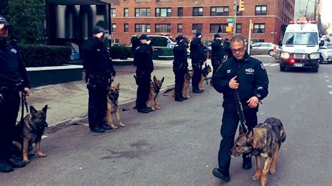 Nypd Offers Final Salute To K 9 Officer Before Cancer Death Fox News