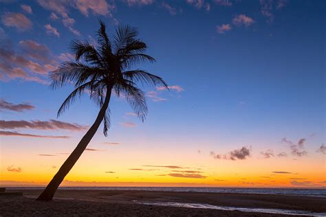 Tropical Island Sunrise Photograph By James Bo Insogna