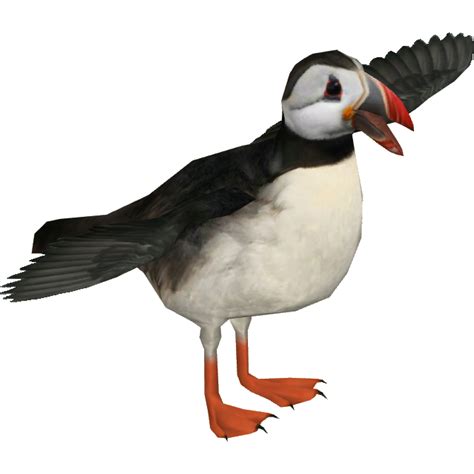 Puffin Png صورة صورة