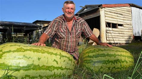 Geoffs Gigantic Melon Smashes Festival Scale The Courier Mail