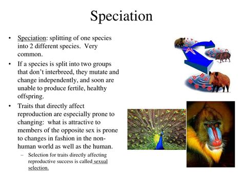 Species Examples Biology