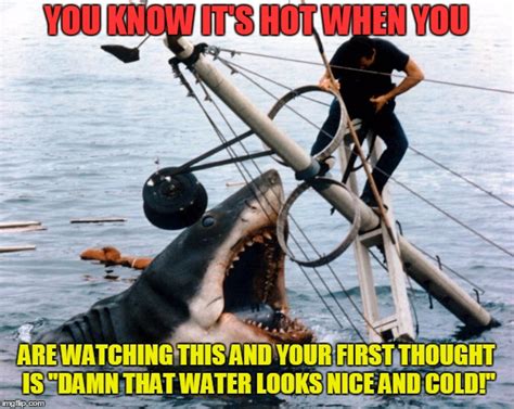 Jaws Memes Imgflip