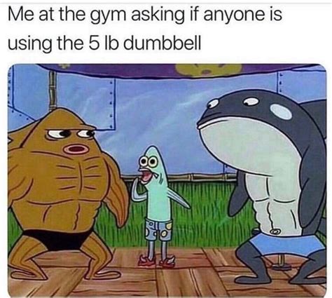 23 Funny Gym Memes To Get You Pumped Gallery Ebaums World
