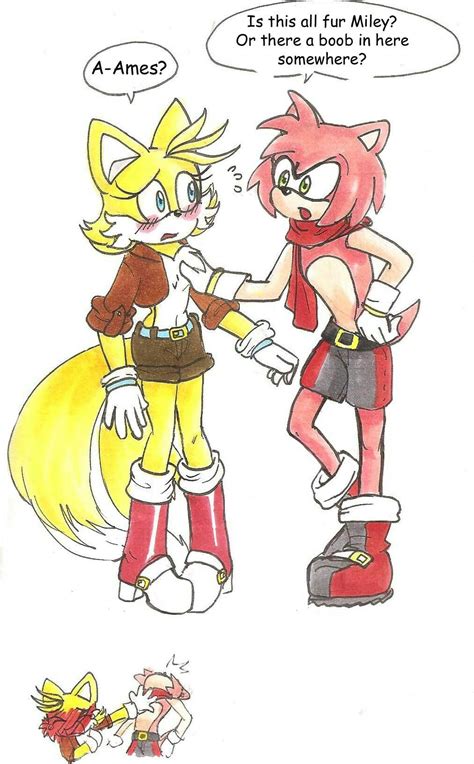 Pin By Erika Santamaria On Tails Y Amy Sonic Heroes Sonic Fan Art