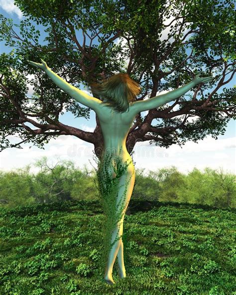 Dryad Or Tree Nymph With Her Tree Stock Illustration Illustration Of