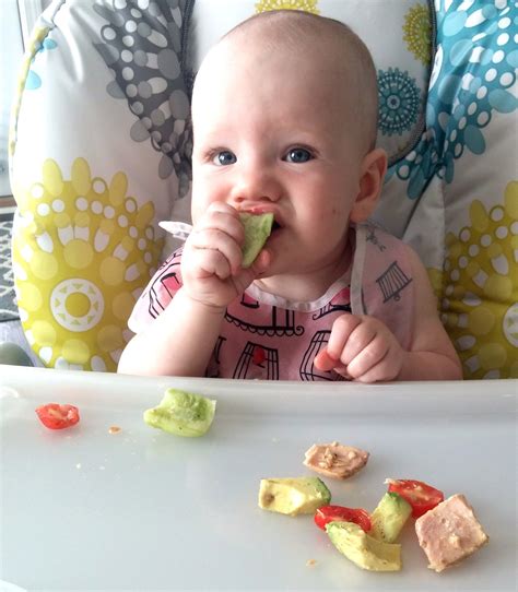 Best Foods For Baby Led Weaning Baby Led Weaning Baby Led Weaning