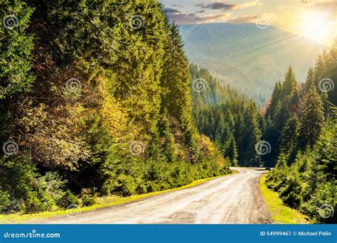 Road Through The Forest In Mountains At Sunset Stock Image Image Of